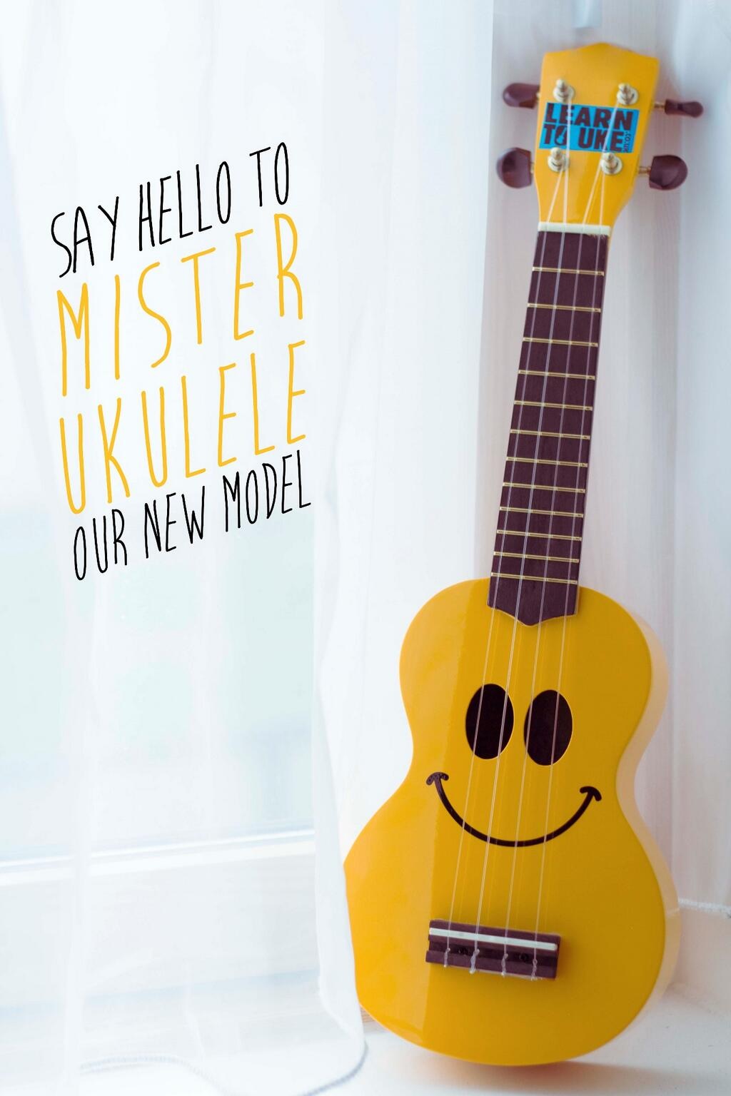 Mr Ukulele